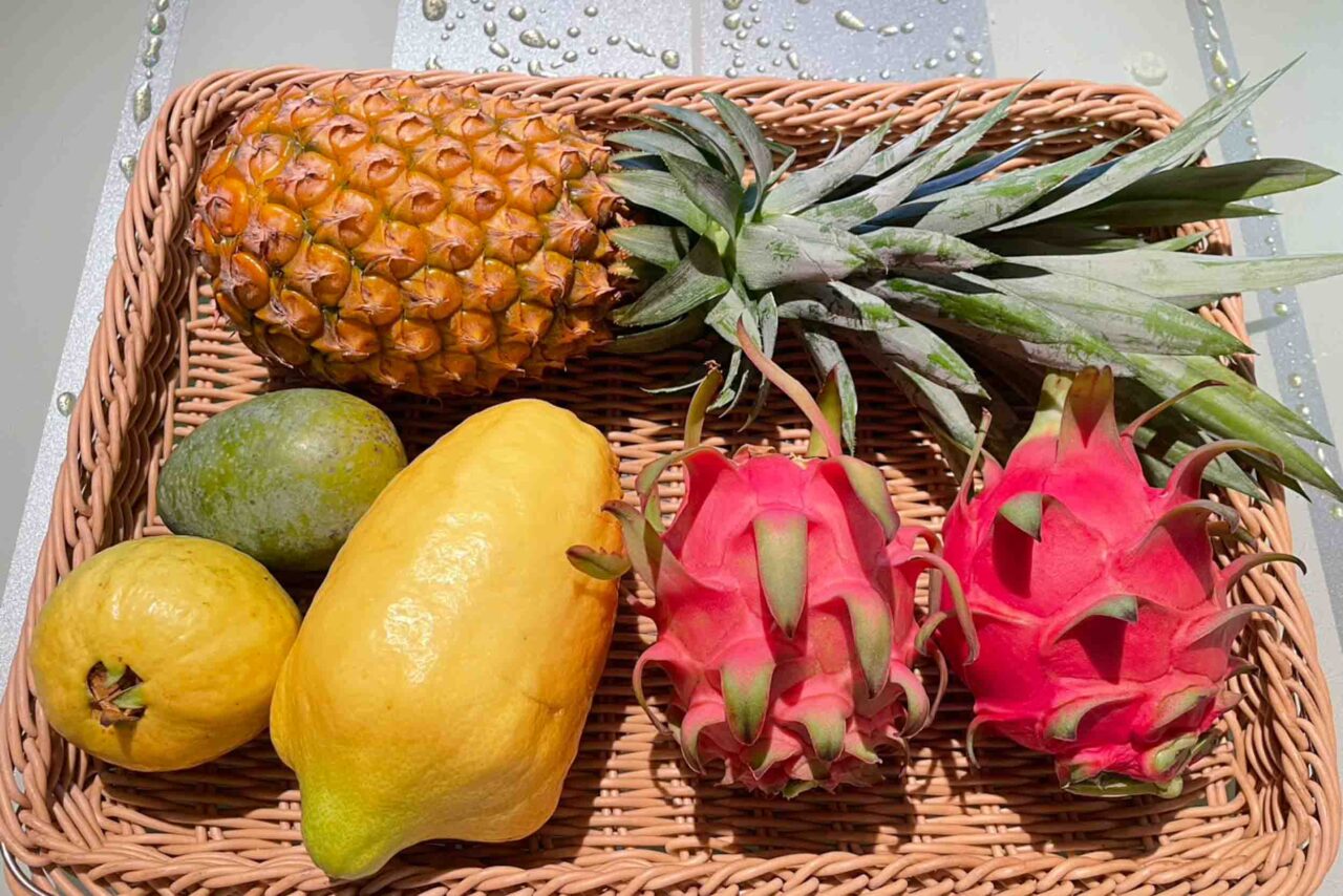 德國鄉村莊園民宿